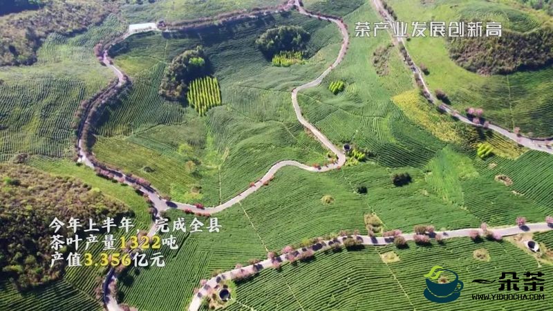 黔南州“‘四新四化'谱新篇：2022上半年惠水县茶产量1322吨，产值3.356亿元！