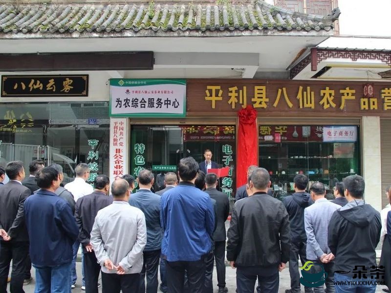 八仙镇举行富硒茶产业链党支部揭牌仪式