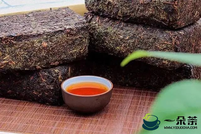 陕西省茯茶加工工职业技能竞赛开幕式在泾阳县举行