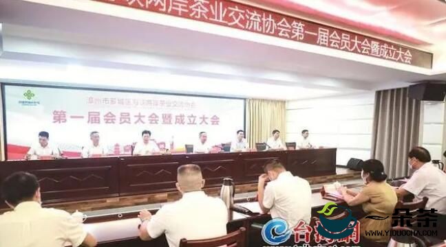 漳州市芗城区海峡两岸茶业交流协会成立
