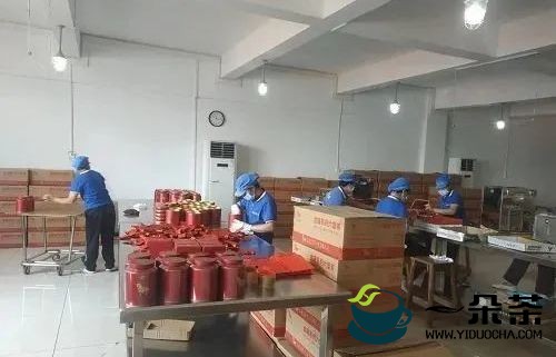 广西梧州稳步推进六堡茶产业融合发展