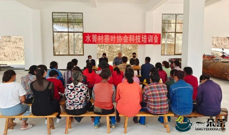 梁河县：农业技术人员到水箐村开展茶叶科技培训