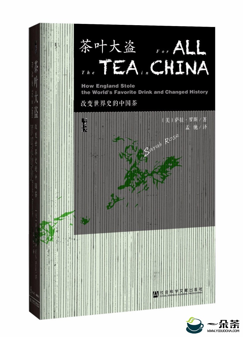 世界茶叶经济之变｜茶叶如何改变地缘政治和经济格局？(地缘格局是什么意思)