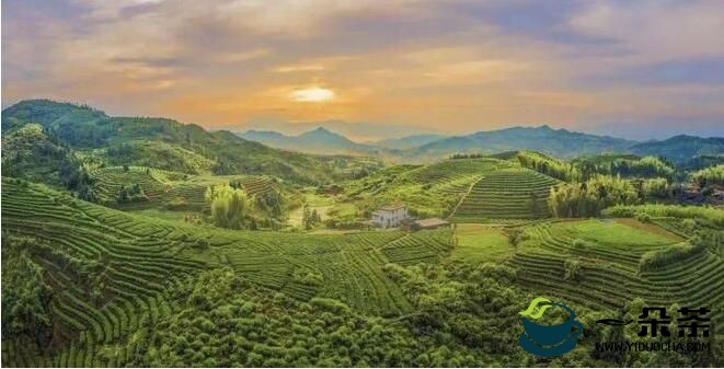福建茶企开拓印尼市场-2022福建茶产业（印尼）海外仓展