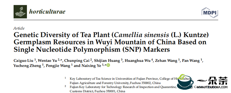 武夷山茶树种质资源的遗传多样性研究