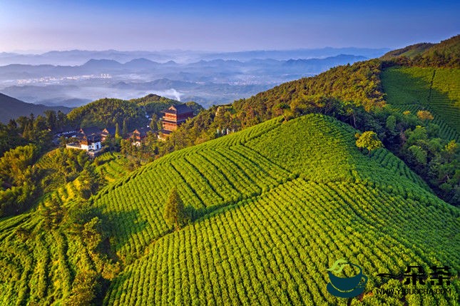 “中国传统制茶技艺及其相关习俗”参加申遗的国家级非遗代表性项目有哪些？