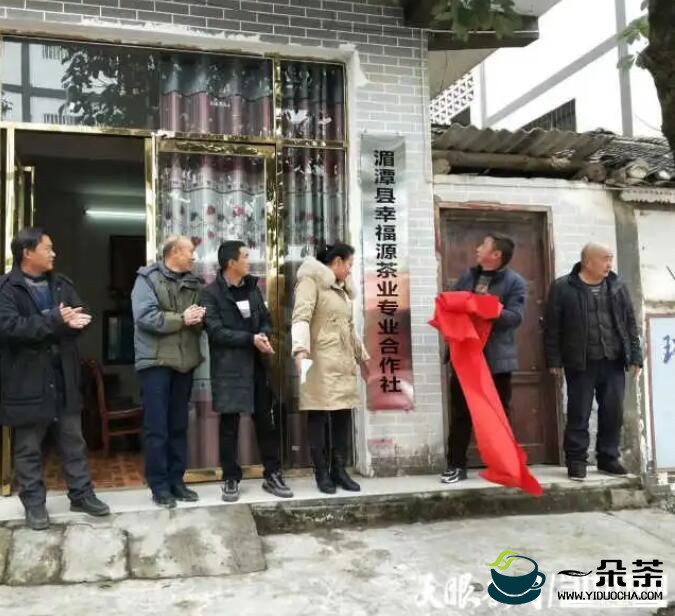 贵州湄潭：131家专业合作社助茶产业提质增效