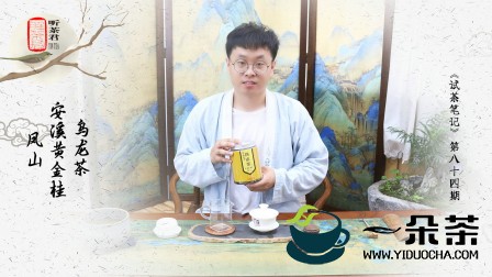 黄金桂茶鉴别方法介绍(黄金桂是什么茶)