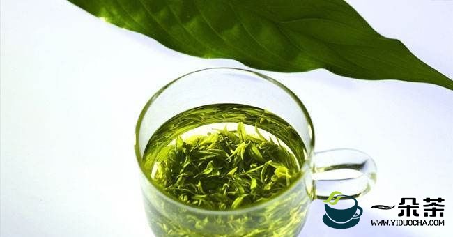 喝绿茶能非常有效地提高增强免疫力(如何增强抵抗力和提高免疫力)