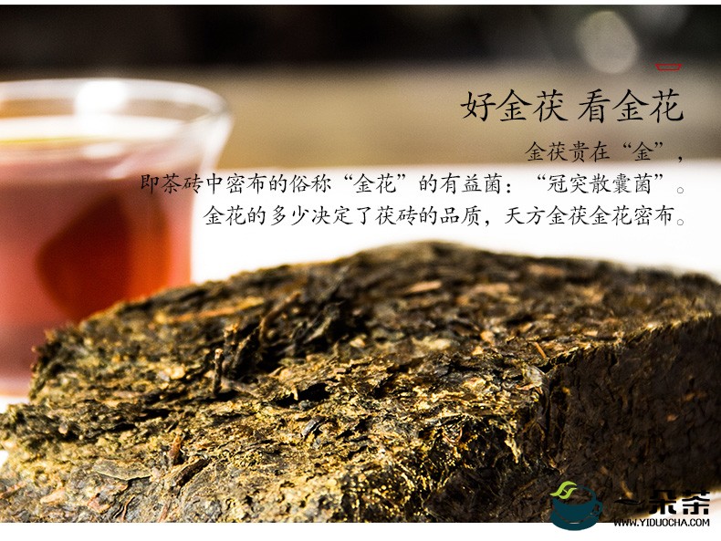 安化黑茶茯砖茶的“发花”工艺|黑茶制作(安化黑茶 金花茯砖)