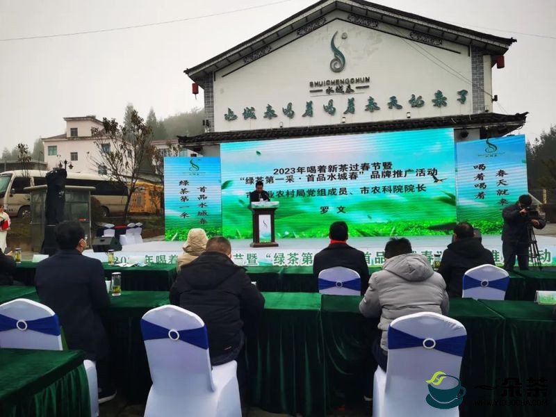 2023绿茶第一采·首品水城春”品牌推广会在贵州六盘水举行