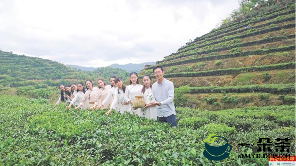 台湾姑娘与客家小伙在梅州开荒种茶，创新制茶工艺
