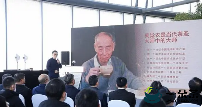 小茶叶做好经济大文章 上海中心举行茶文化专题论坛