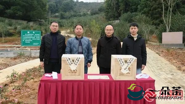 建阳小湖：水仙茶200周年纪念款封箱仪式举办