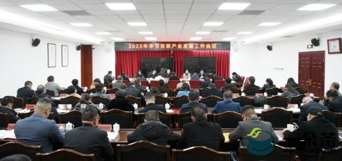 2023年毕节市茶产业发展工作会议召开