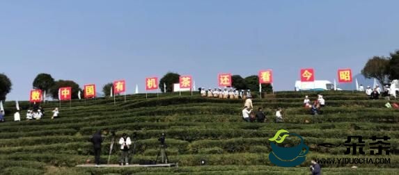 ​“2023广西春茶节系列活动启动仪式” 在昭平县举行