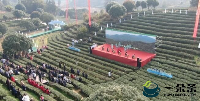 2023广西春茶节系列活动在昭平正式启动