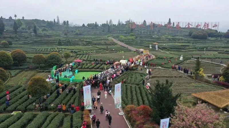 2023成都（邛崃）采茶季暨邛崃黑茶文化旅游节开幕