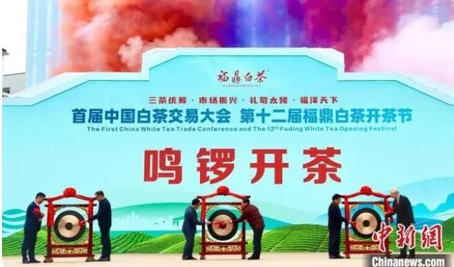 首届中国白茶交易大会在“中国白茶之乡”福建福鼎举办