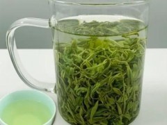 绿茶日照绿茶的冲泡方法与注意事项(日照绿茶的冲泡方法)