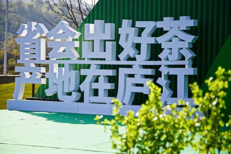 2023第十五届合肥·庐江“白云春毫”茶文化旅游节盛大开幕