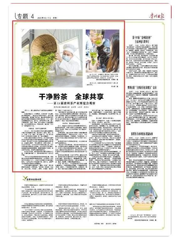 干净黔茶 全球共享  第15届贵州茶产业博览会观察