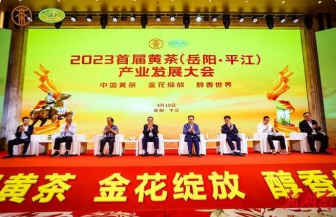 探索中国黄茶未来之路 2023首届黄茶产业发展大会在岳阳平江举办