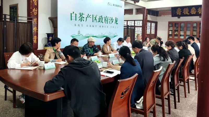 2023白茶产区政府沙龙在政和县举行