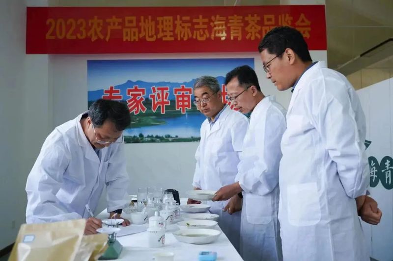 2023农产品地理标志海青茶品鉴会成功举办