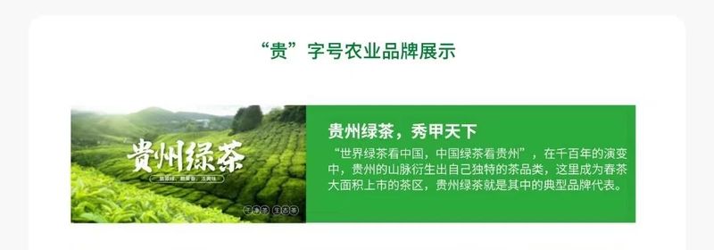 5月茶情，扬中国品牌 庆国际茶日 黔茶魅力无法挡