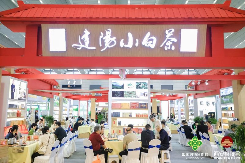 2023建阳小白茶品牌推介会成功举办
