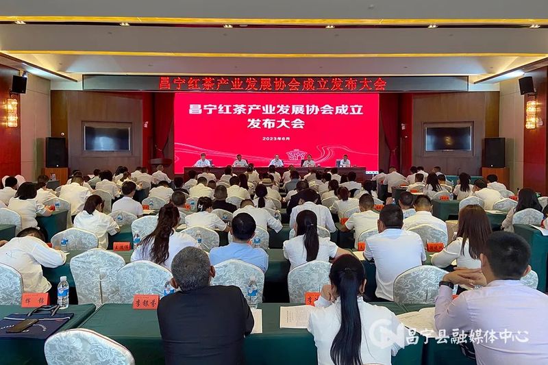 杨斌斌出席昌宁红茶产业发展协会成立发布大会强调