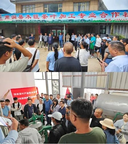 国家茶叶产业技术体系西双版纳综合试验站在南涧县举行茶叶种植与加工技能培训