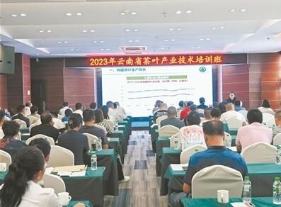 2023年云南省茶叶产业技术培训班在普洱举办