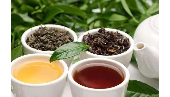 茶叶保健养生︱喝到真正的好茶，你的身体会说话！(喝茶的保健作用)