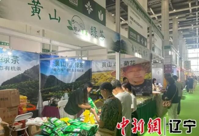 第8届大连茶博会开幕 600多家知名企业共话茶行业新商机