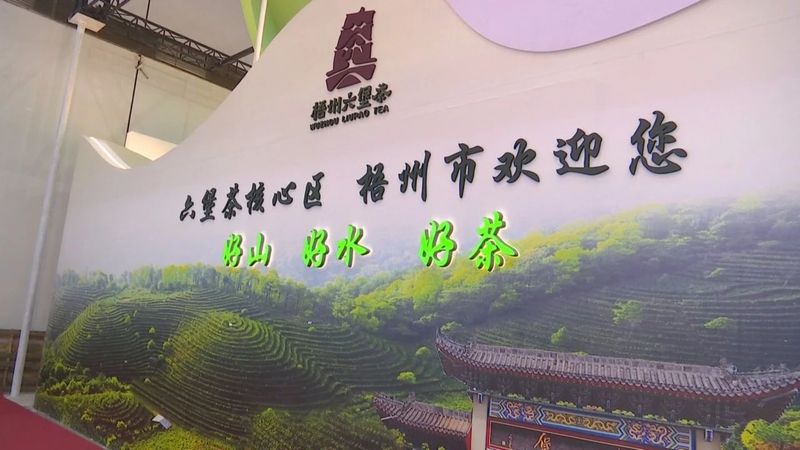 中国六堡茶香飘世界，梧州元素亮相东博会 展示梧州优势特色产业