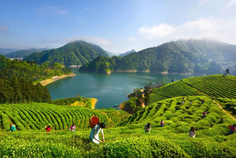 安化黑茶区域公共品牌入选2023中国地理标识农产品区域公共品牌声誉百强