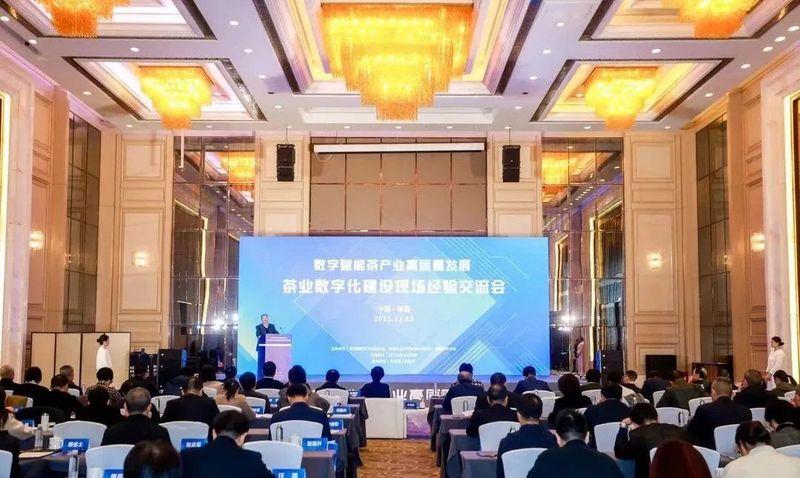 共论“数字茶业”新模式 茶业数字化建设现场经验交流会在新昌举行