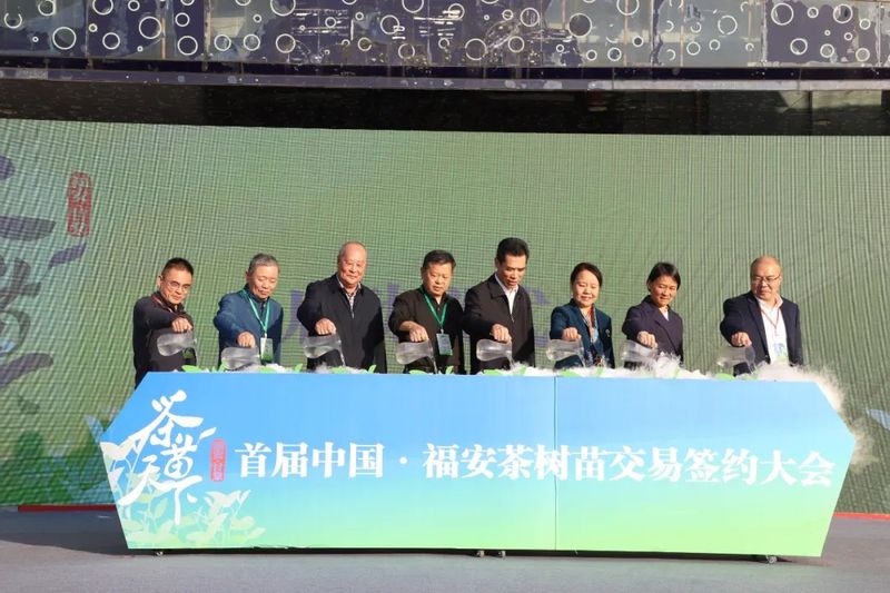 首届中国·福安茶树苗交易签约大会开幕