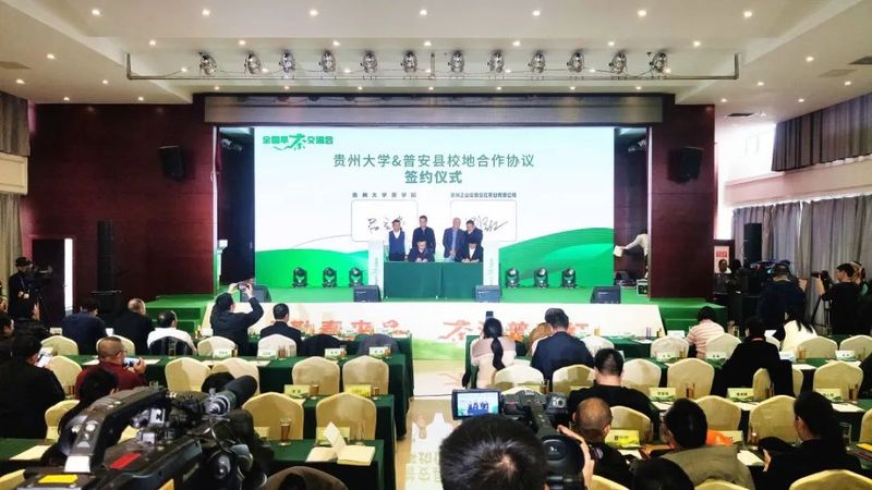 全国早茶大会暨2024年“贵州绿茶”第一采全国早茶交流会举行
