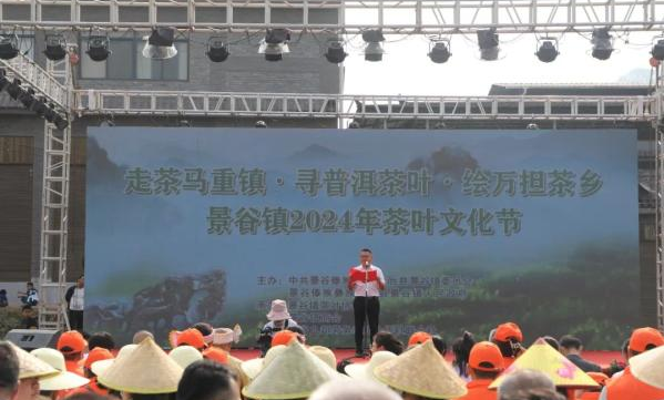 普洱市景谷镇2024年茶叶文化节开幕